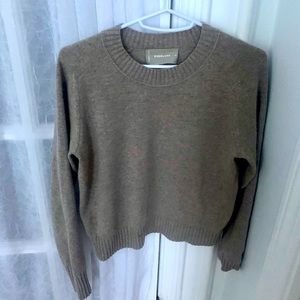 Everlane Cashmere Sweater XS